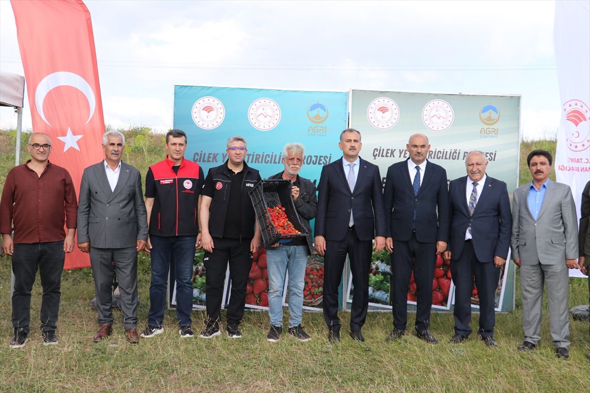 Ağrı\'da Çilek Projesi Başladı