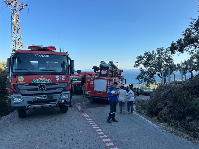 Ayvacık'ta Zeytinlik Yangını Söndürüldü