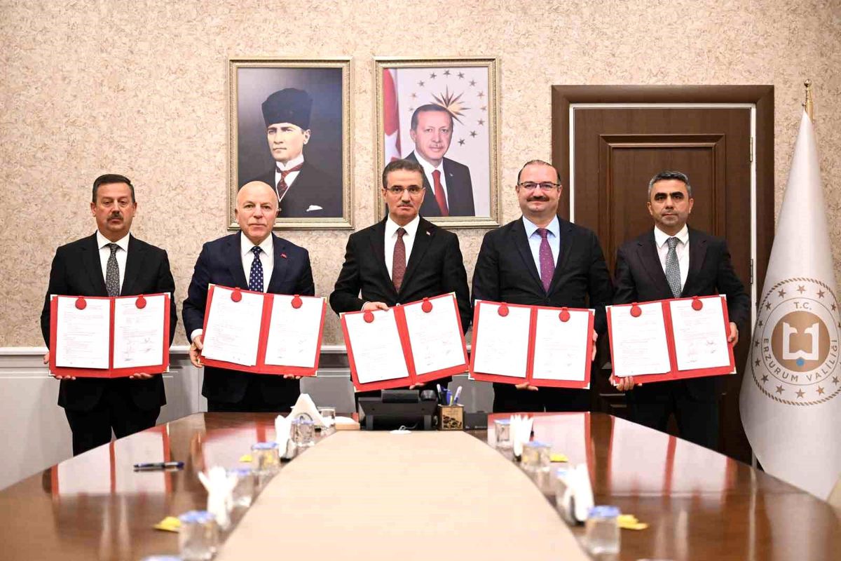 Erzurum\'da sokak hayvanlarına laparoskopik kısırlaştırma