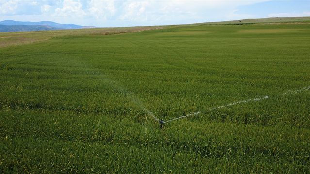 Eskişehir’de 405 bin dekar arazi sulanacak