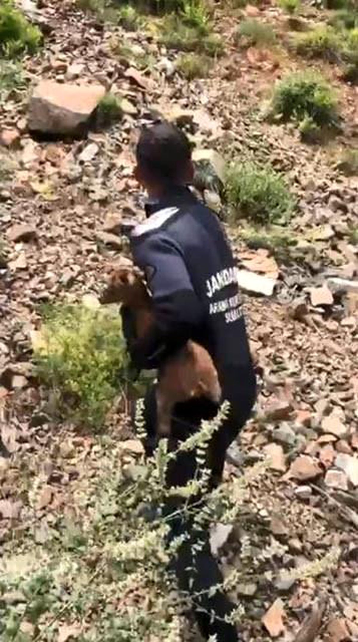 Kayıp Baba ve Oğul Ararken Keçi Kurtarıldı