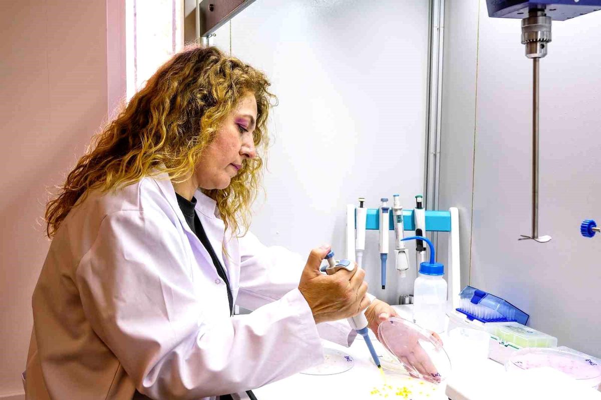 Yeni Tohum Testi ile Tarımda Verim Artışı