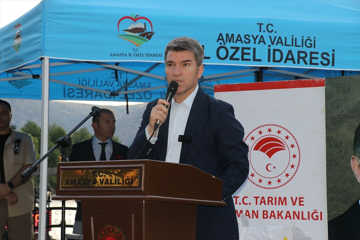 Amasya\'da Kiraz Yarışması Düzenlendi