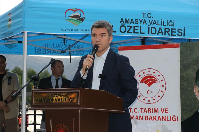 Amasya’da Kiraz Yarışması Düzenlendi