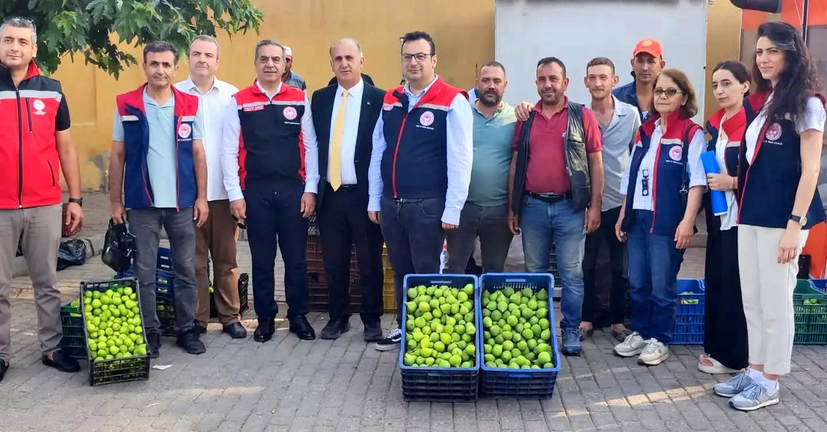 Aydın\'ın dünya markası inciri için sahada yoğun mesai