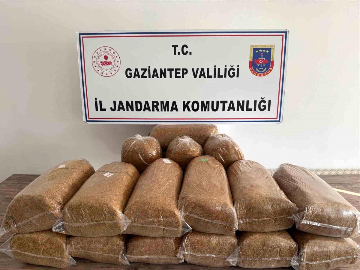 Gaziantep\'te Jandarma Kontrolünde 353 Şahıs Yakalandı