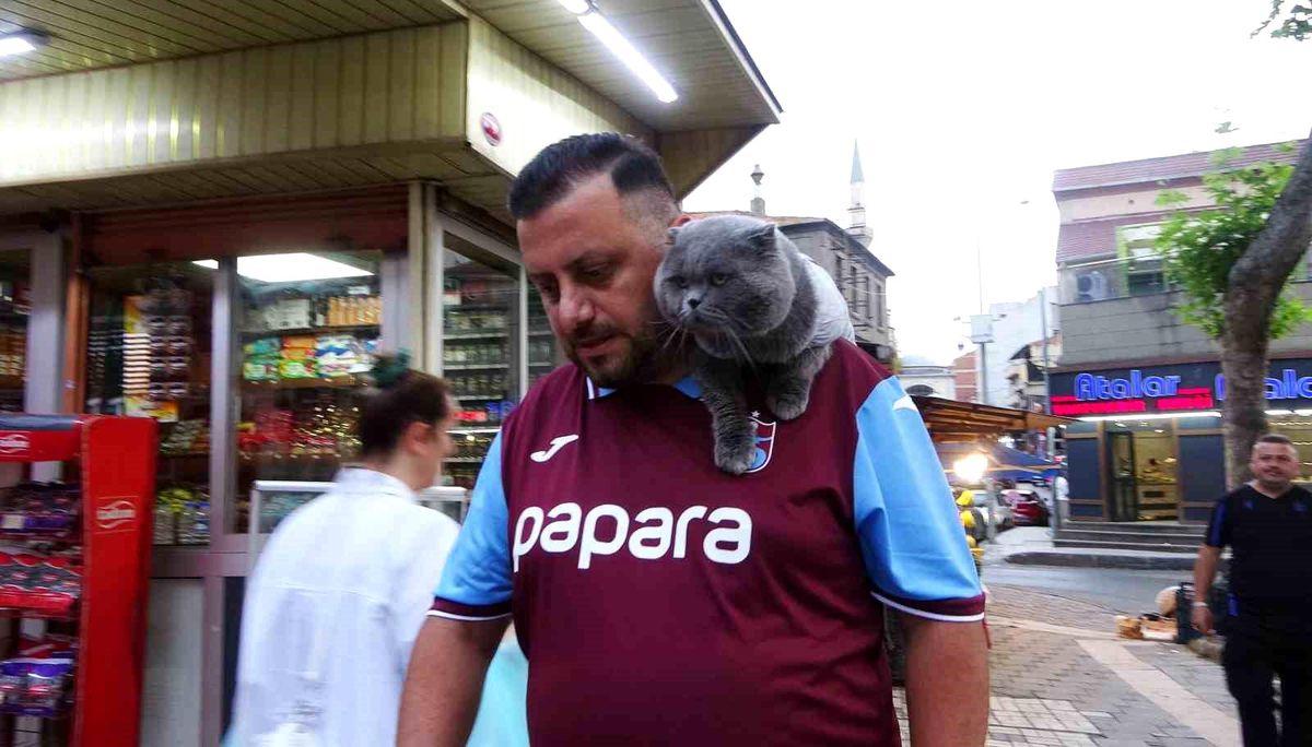 Kayıp kedi \'Tom\' 4 gün sonra bulundu