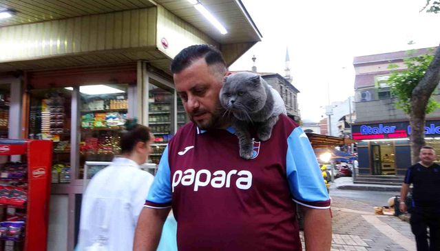 Kayıp kedi ‘Tom’ 4 gün sonra bulundu