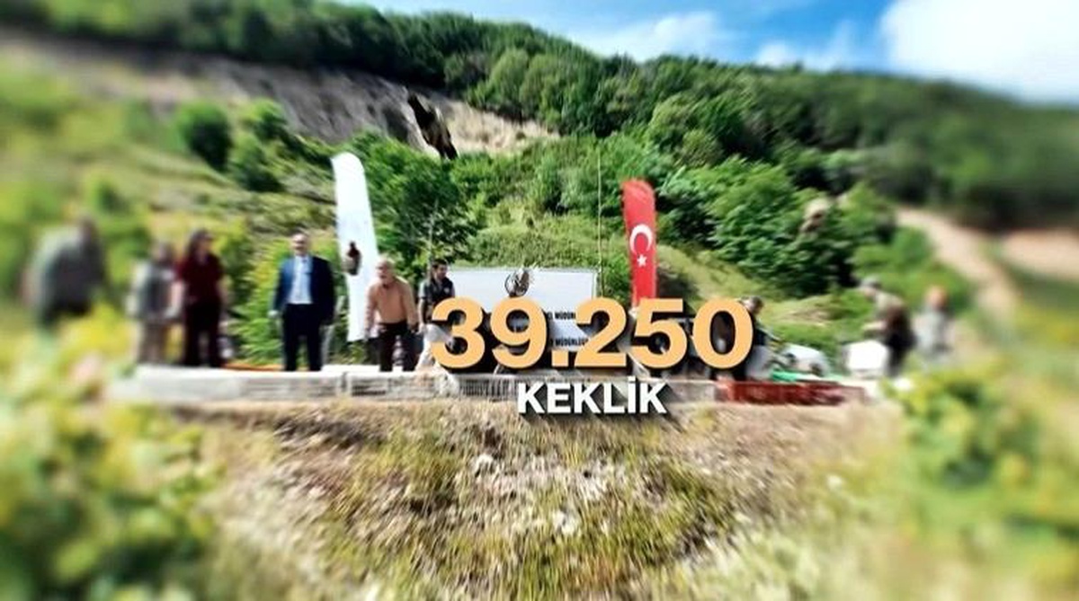 Keklik ve Sülünler Doğaya Salınacak