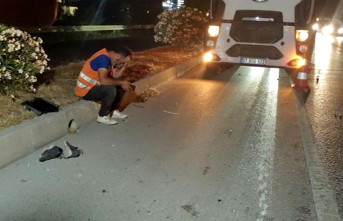 Manavgat\'ta Zincirleme Kaza: Bir Kişi Hayatını Kaybetti