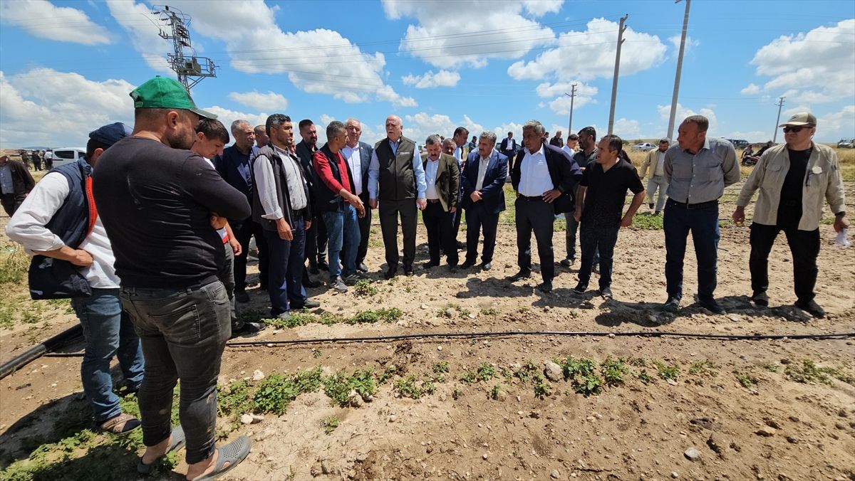 TZOB Başkanı Bayraktar Afyon\'da Tarım İncelemesi