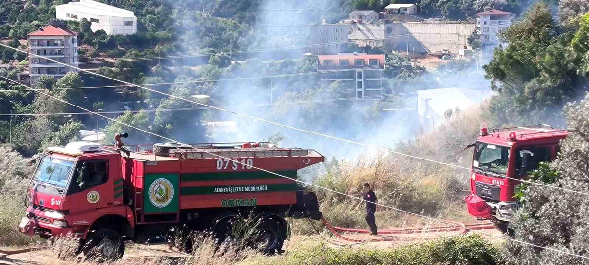 Alanya\'da zirai alanda çıkan yangında 1 dönüm zarar gördü