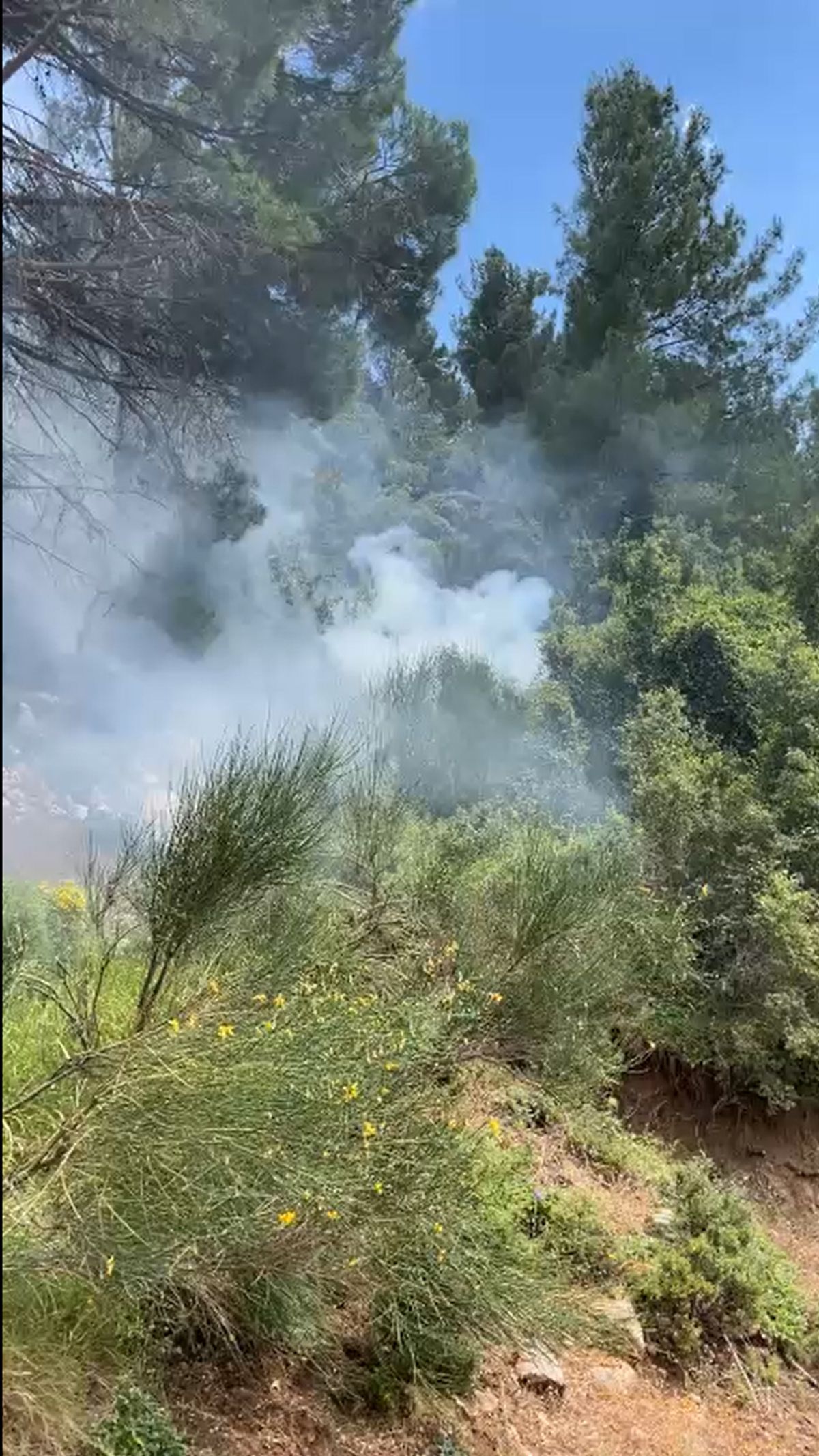 Kaş\'ta Orman Yangını Kontrol Altına Alındı