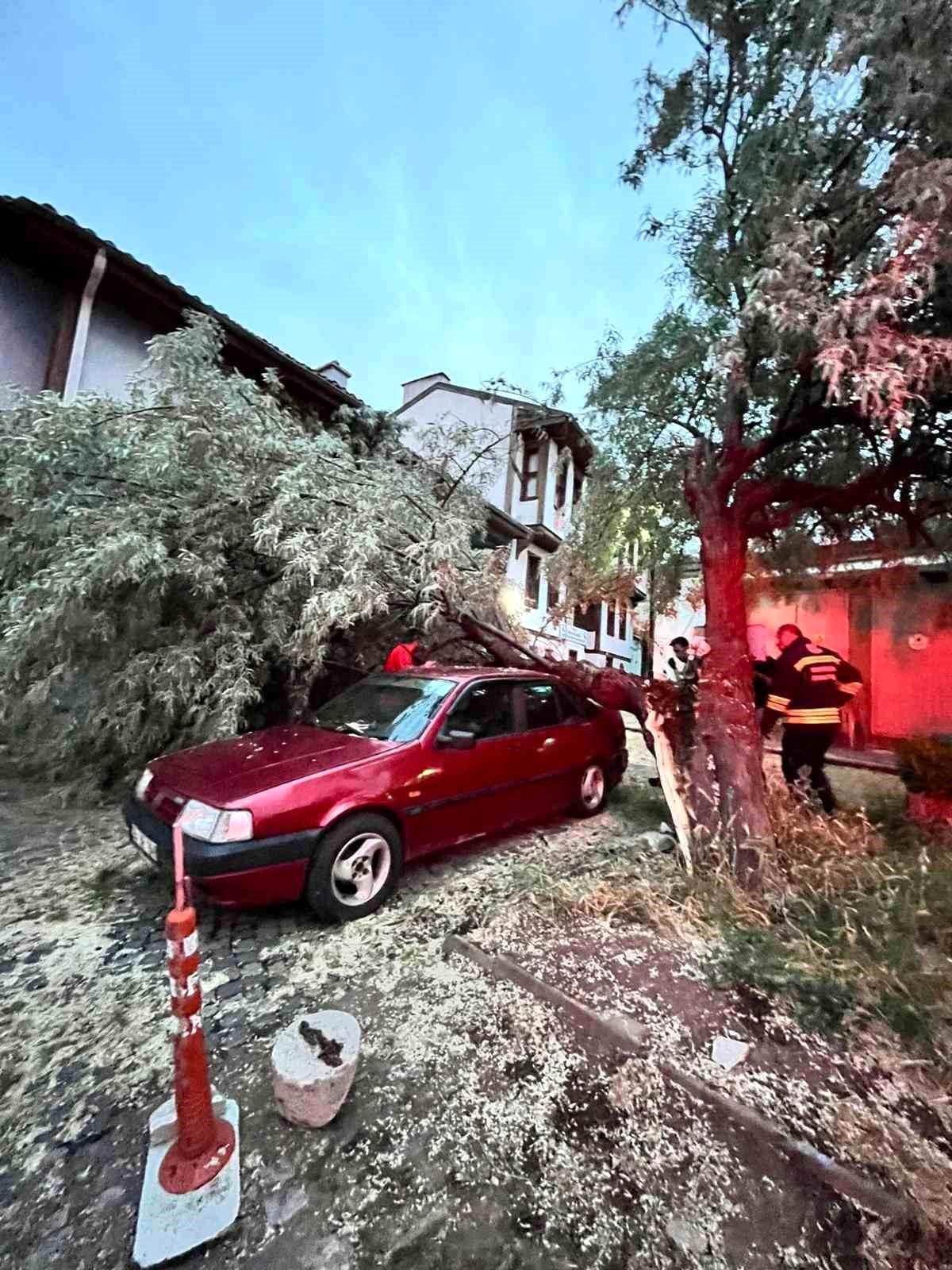 Araç üzerine düşen ağaç itfaiye ekiplerinin titiz çalışmasıyla kaldırıldı