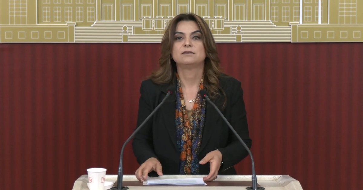 Koçyiğit\'ten Çerçeve Yasa Açıklaması