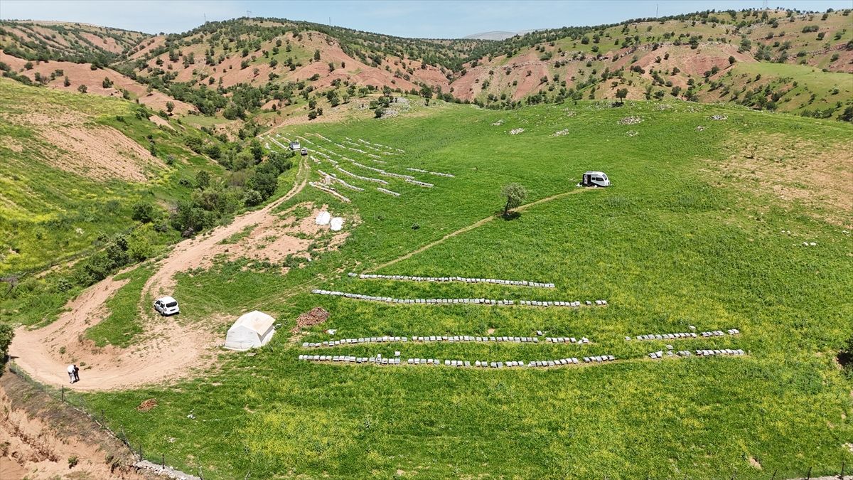 Korkusuz Ailesi Konforlu Arıcılık Yapıyor