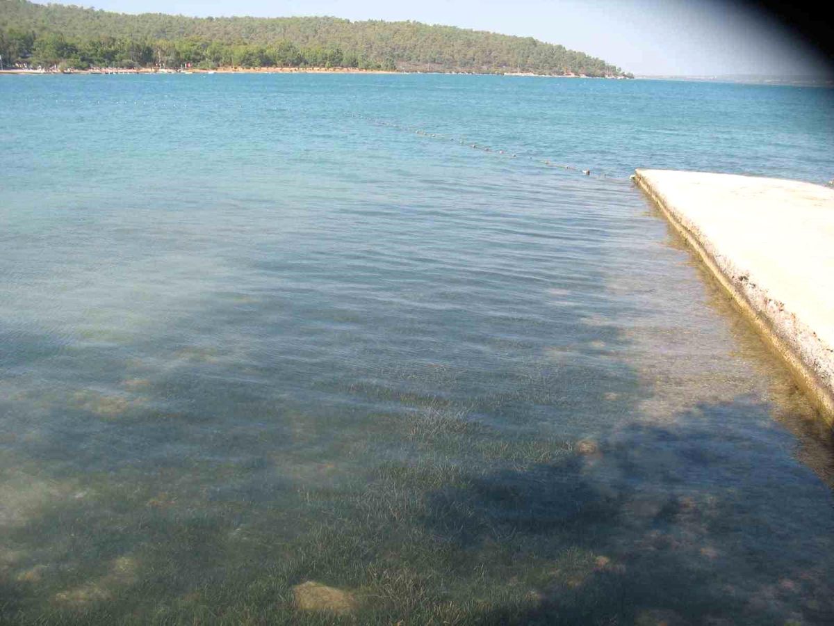 Didim\'in Deniz Suyu Kalitesi Mükemmel