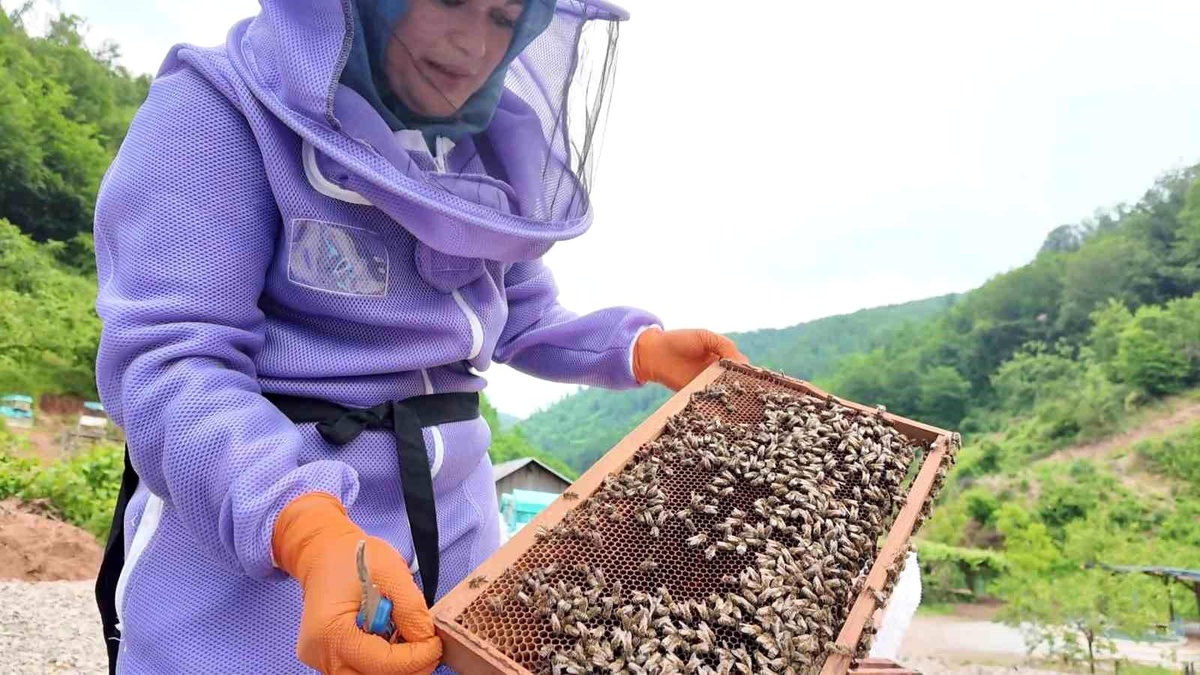Kadın Üretici Arıcılıkla 100 Kovana Ulaştı