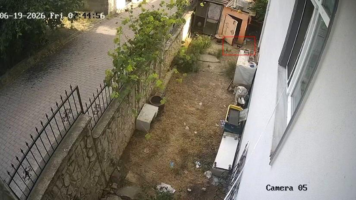 Karga Yumurtayı Kaparken Güvenlik Kamerasında