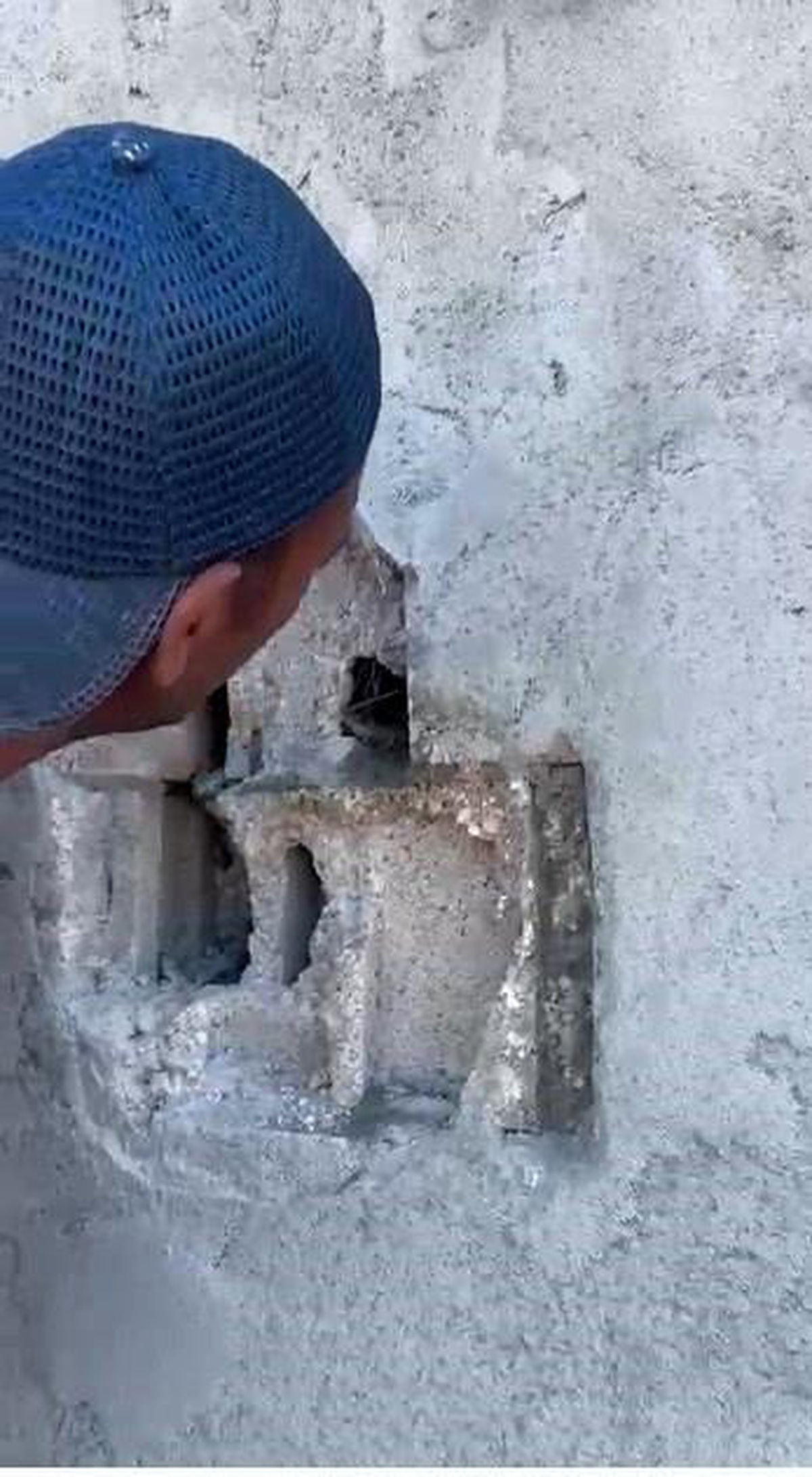 Yayla Evinde Kuş Yavruları Kurtarıldı