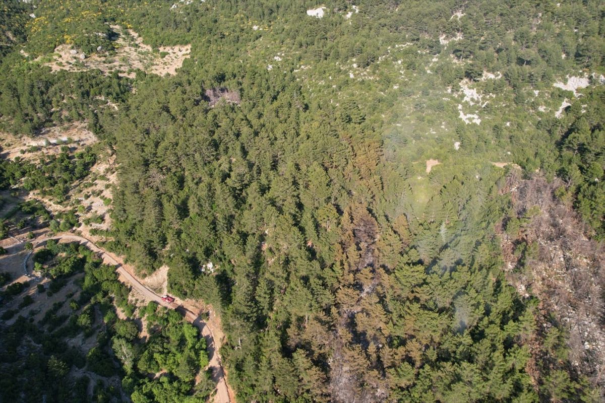 Kaş\'ta Orman Yangını Kontrol Altına Alındı