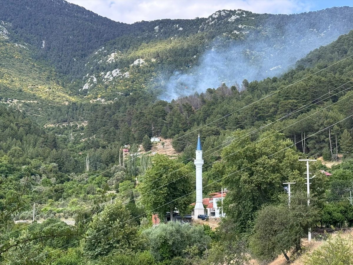 Kaş\'ta Orman Yangınına Hava ve Kara Müdahalesi