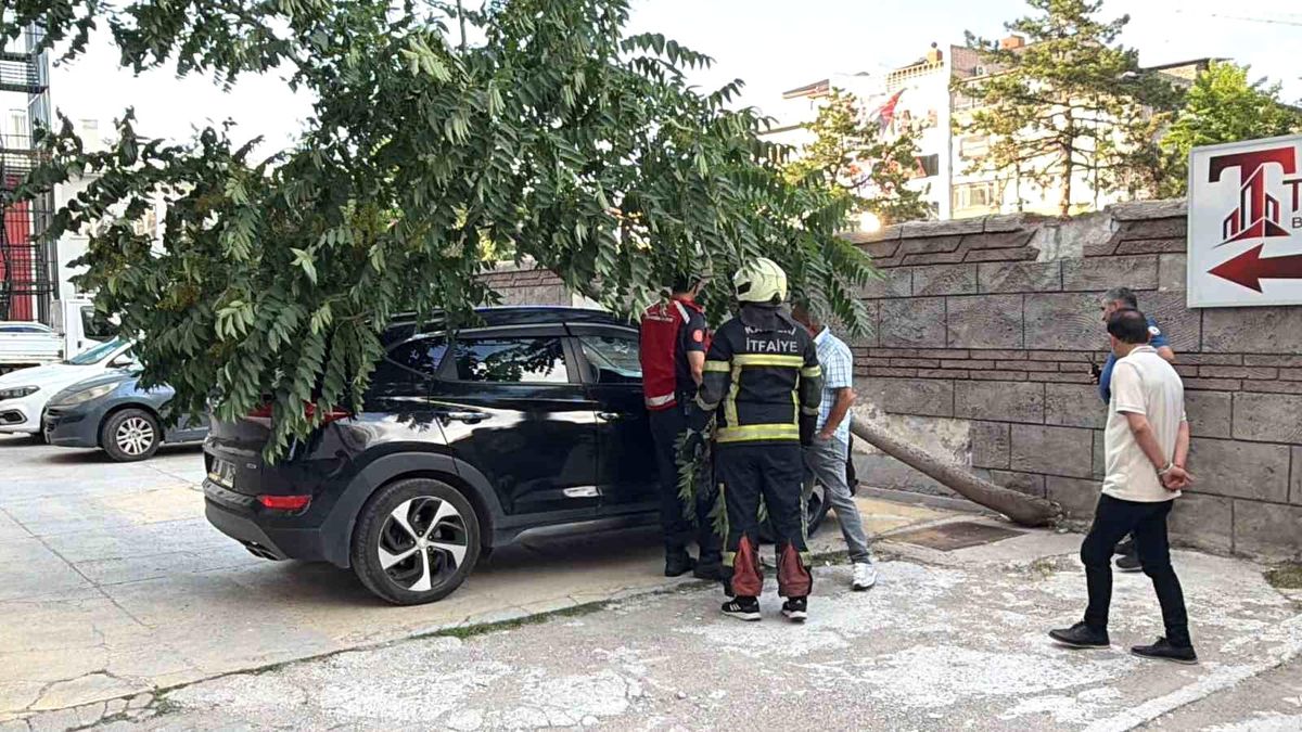 Ağaç SUV Aracın Üzerine Devrildi
