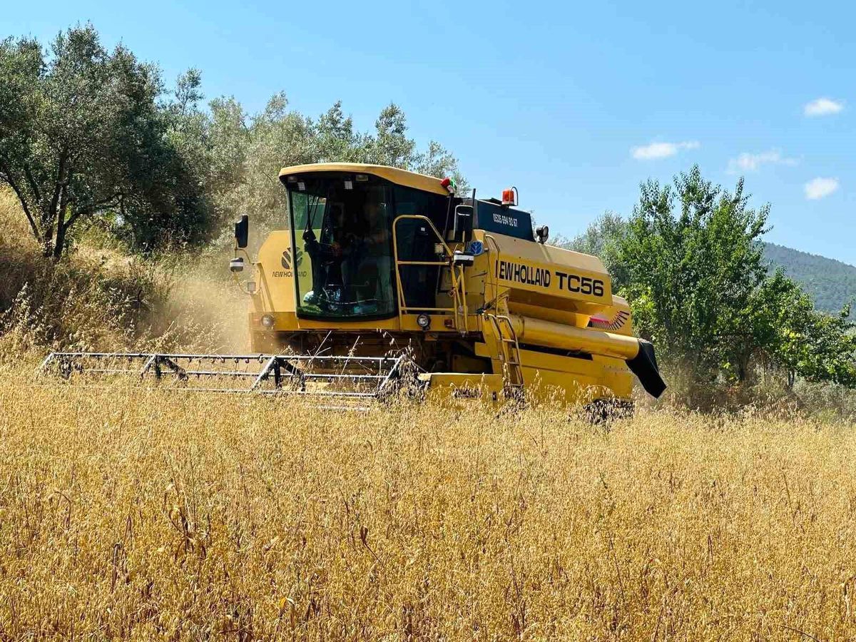Menteşe\'de Hasat Denetimleri Başladı