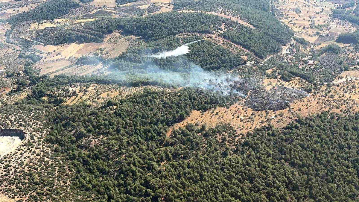 Milas\'ta çıkan zirai yangın kısa sürede kontrol altına alındı