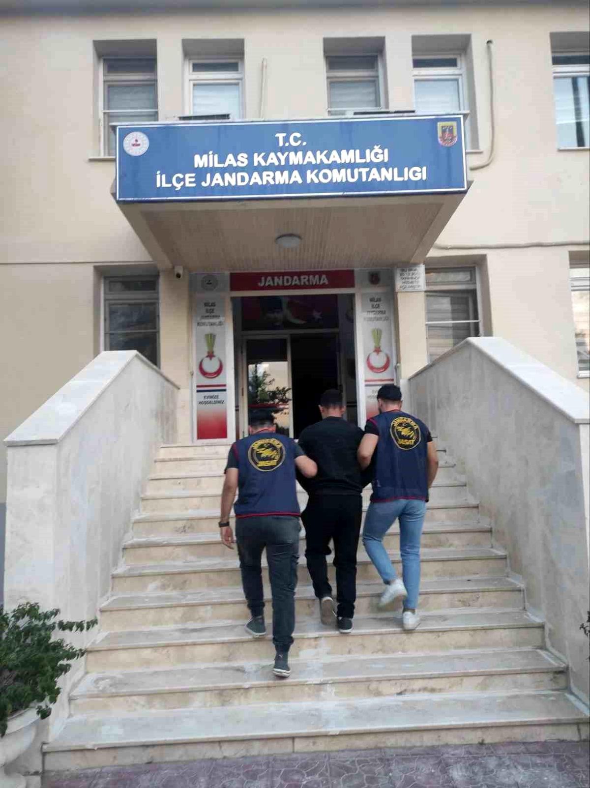 Muğla\'da Jandarma Operasyonu: 114 Gözaltı