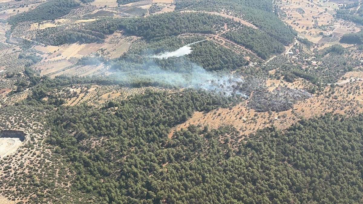 Milas\'ta Ziraat Alanındaki Yangın Kontrol Altına Alındı