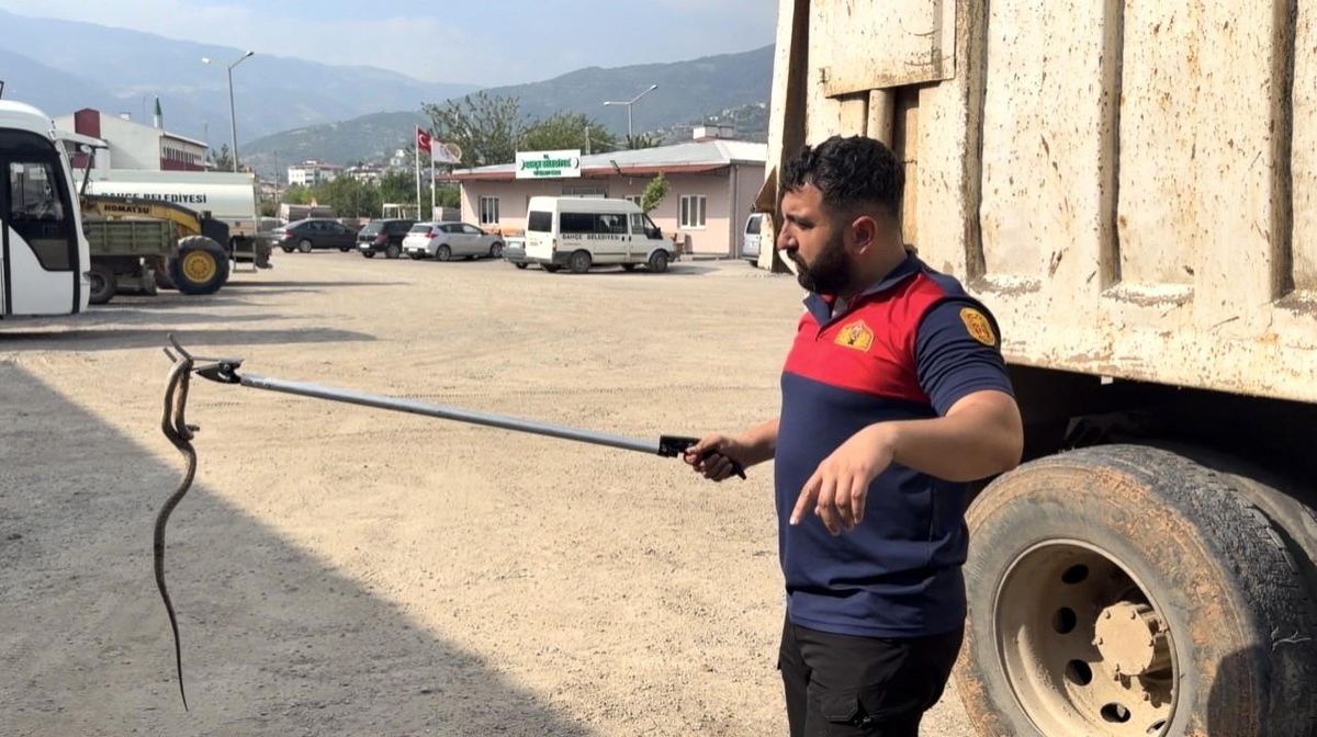 Osmaniye\'de kaçak yolcu yılan, üçüncü araçta yakalandı