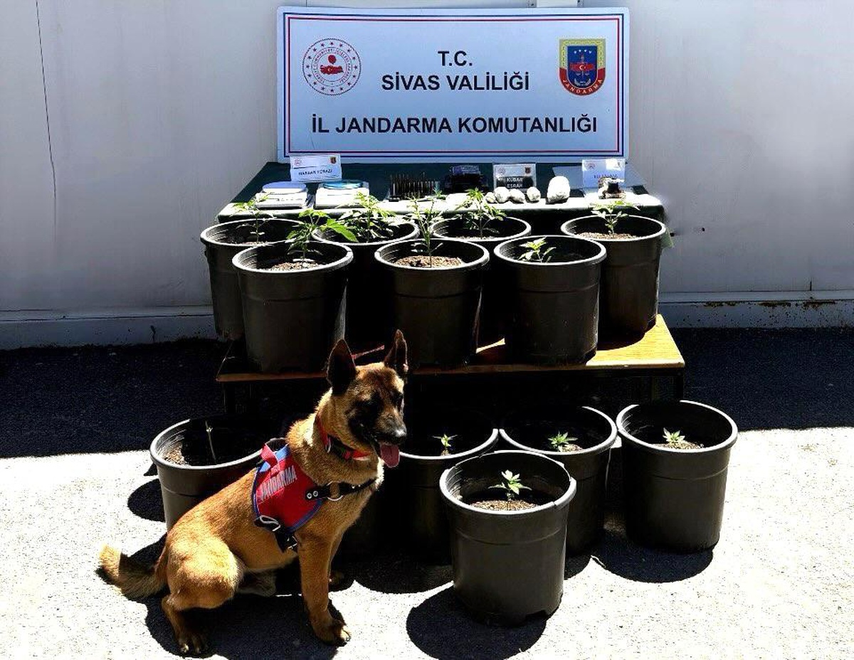 Sivas\'ta Uyuşturucu Operasyonu: 5 Gözaltı