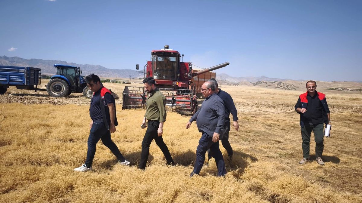 Silopi\'de TAKE projesiyle atıl araziler üretime kazandırıldı