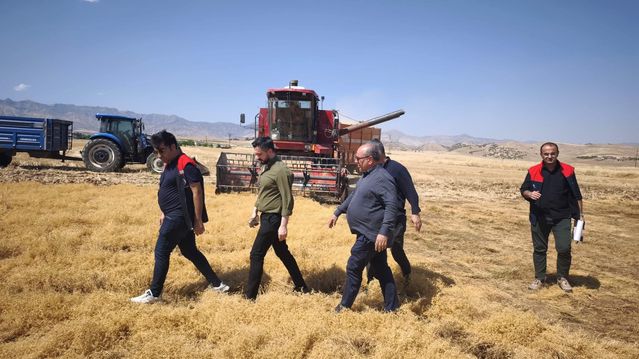 Silopi’de TAKE projesiyle atıl araziler üretime kazandırıldı