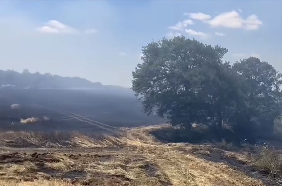 Malkara\'da 200 Dekar Buğday Tarlası Yandı