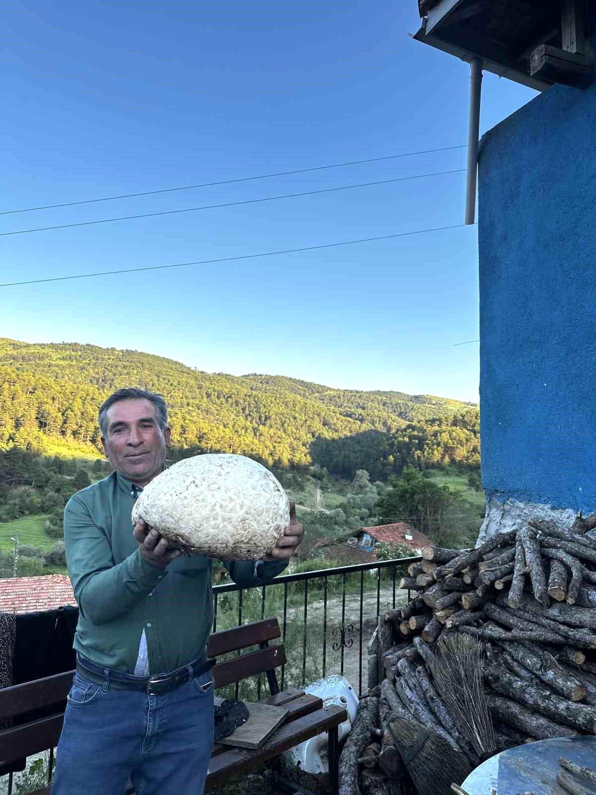 Dev Mantar Şaşırttı
