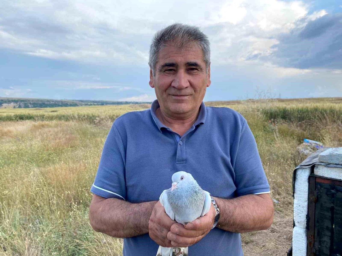 Kemal Avcı\'nın Güvercin Sevdası