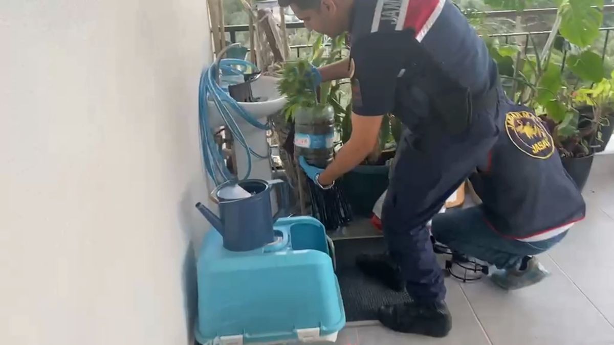 5 İlde Uyuşturucu Operasyonu: 341 Gözaltı