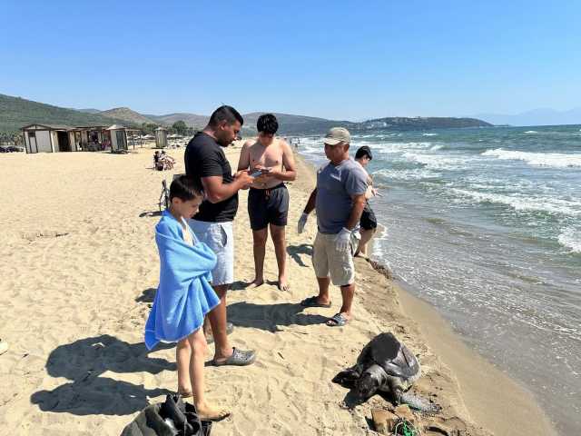 Aynı bölgede ikinci vaka: Deniz kaplumbağasının ayağına taş bağladılar