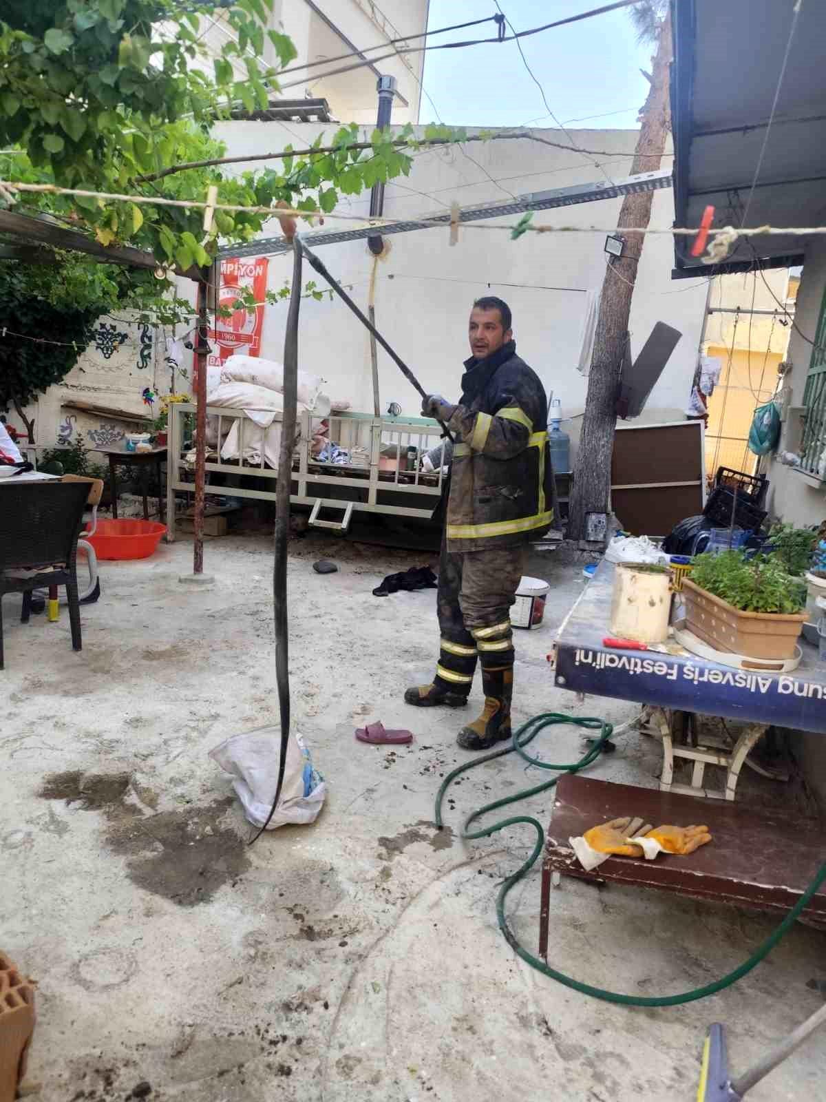 Batman\'da evin bahçesine giren yılan paniğe neden oldu
