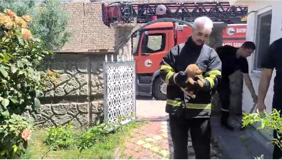 Köpek Kurtarıldı, İşçiler Sahiplendi