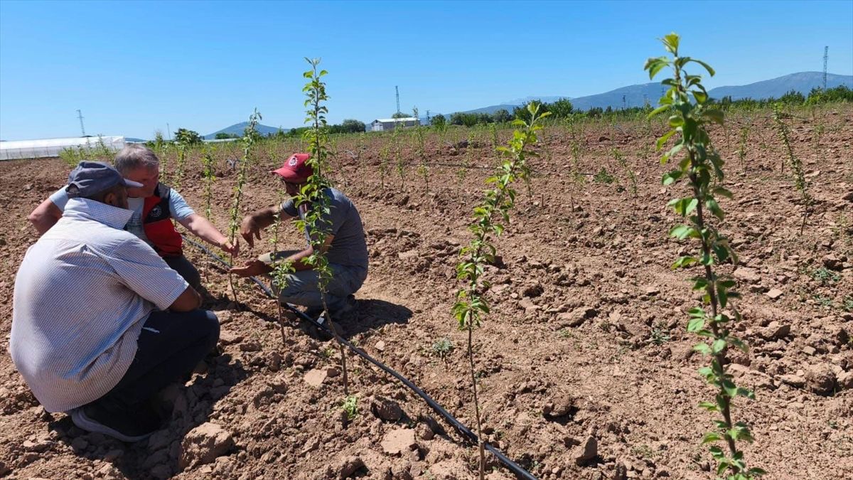 Beyşehir KOP Kütüphanesi Protokolü İmzalandı