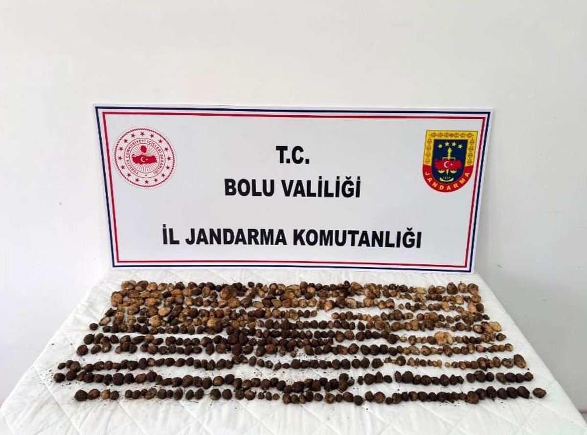 Yabani Salep Toplayan 3 Kişiye 2 Milyon TL Ceza
