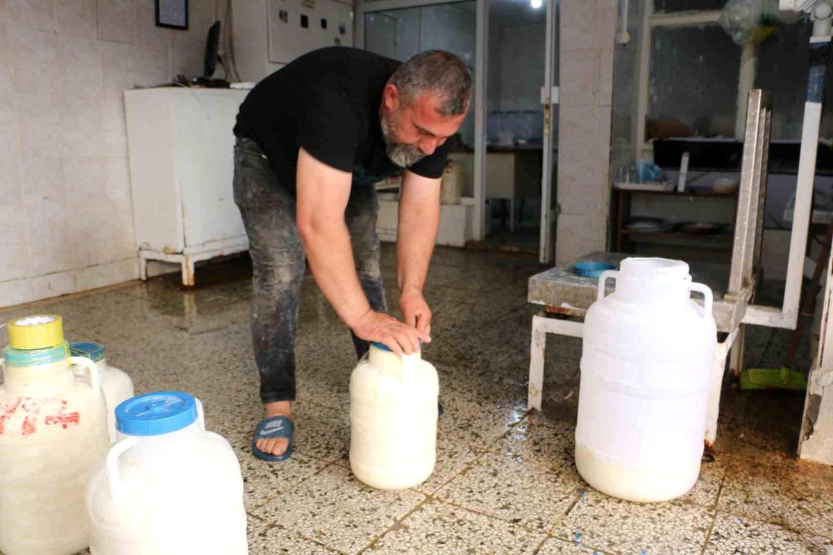 Diyarbakır\'da Kışlık Peynir Stoku Yapılıyor