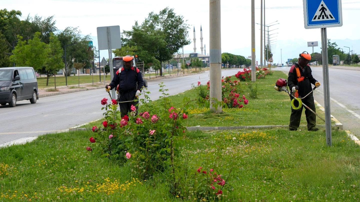 Erzincan\'da yeşil alanlarda bakım çalışmaları sürüyor