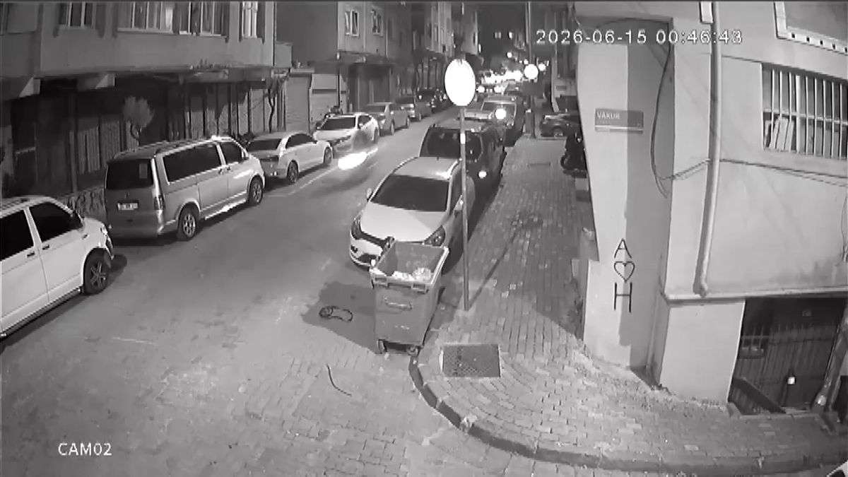 Evli Adamın Kardeşini Vurduğu Cinayet