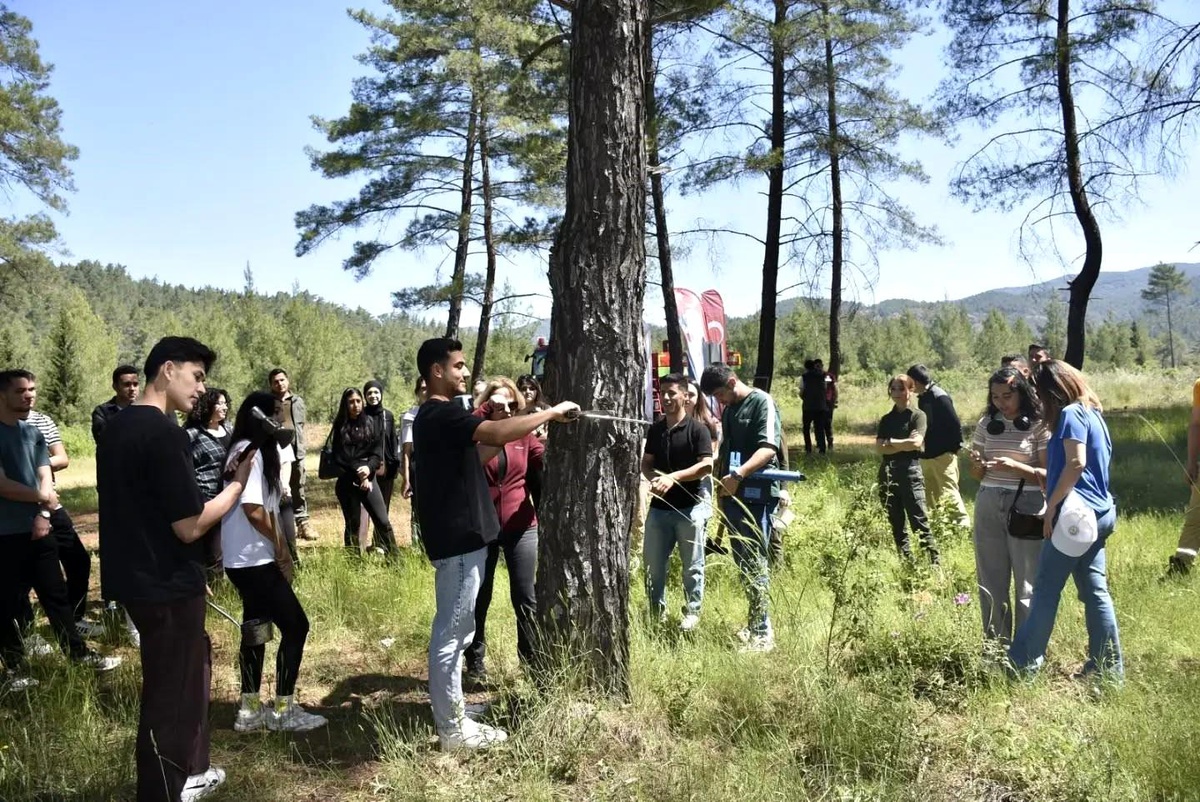 Köyceğiz\'de Ormancılık Öğrencileri Arazi Çalışmalarıyla Bilgilerini Pekiştirdi