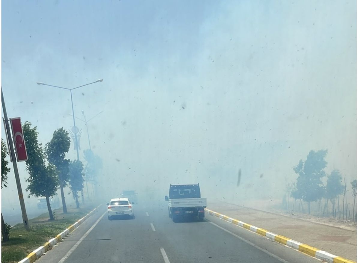 Kızıltepe\'de Anız Yangını Yerleşimi Tehdit Ediyor