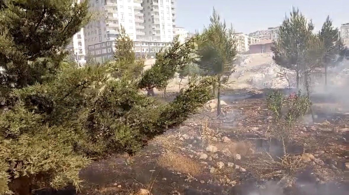 Mardin\'de Yangınlarla Mücadele Devam Ediyor